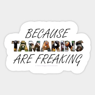 Because Tamarins are freaking awesome - wildlife oil painting word art Sticker